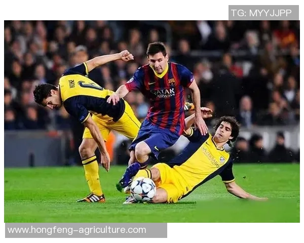 推荐适合初学者关注的足球明星及其精彩表现分析