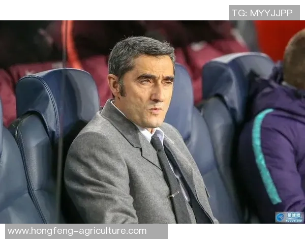 新版足球明星的表现如何值得期待的亮点与不足分析