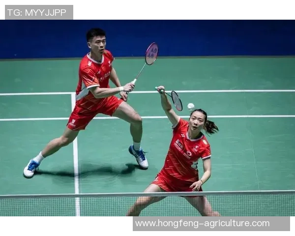 最新羽毛球战术排名前十北京羽毛球队技战术全面领先