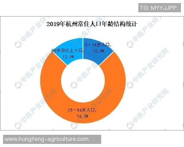 杭州排球队个人能力分析与整体表现评估