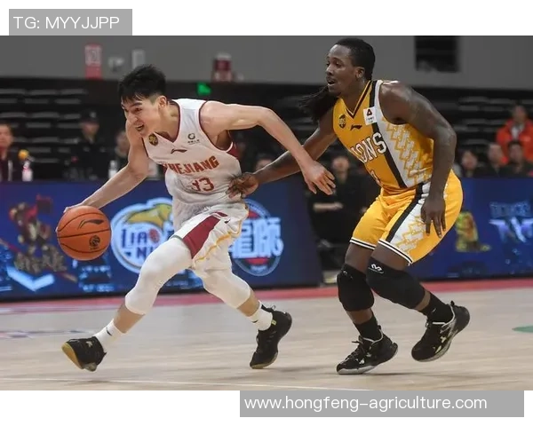 杭州篮球队荣登全国篮球比赛经验排行榜第九位展现实力与潜力