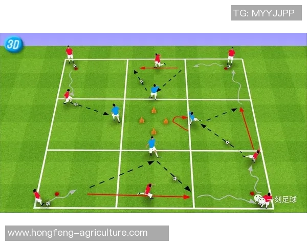 杭州足球队实力揭秘:从青训到职业联赛的全景分析与展望 杭州足球队实力揭秘:从青训到职业联赛的全景分析与展望