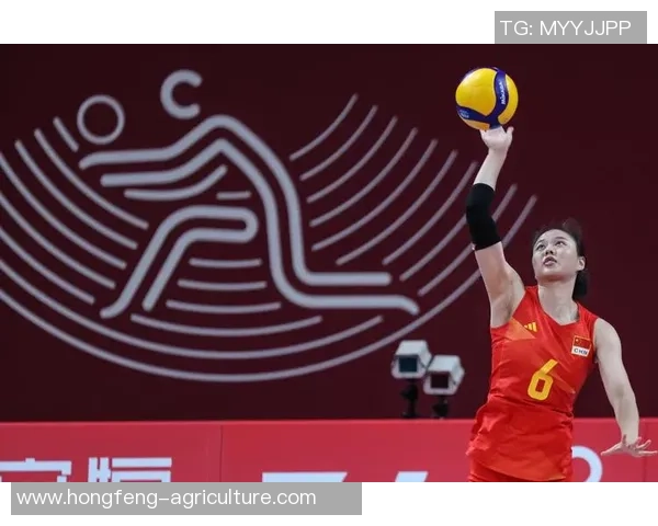 武汉排球队荣登排球速度排行榜首位引领全国风潮