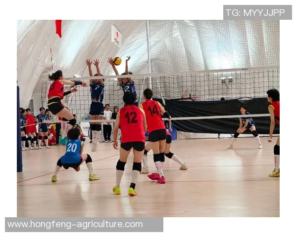 深圳排球队比赛经验革新引发热议助力球队未来发展 深圳排球队比赛经验革新引发热议助力球队未来发展