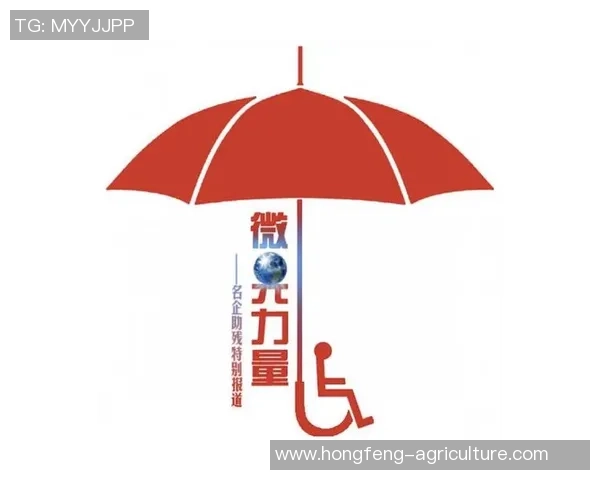 深圳网球队转型之路揭秘:从传统强队到现代化竞技新标杆 深圳网球队转型之路揭秘:从传统强队到现代化竞技新标杆