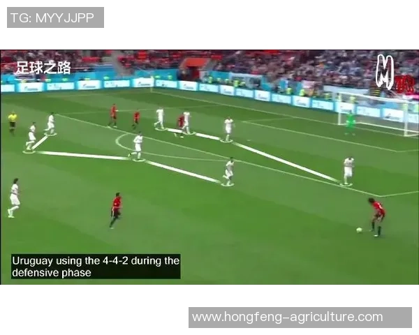 深圳网球队在大师赛中的速度表现分析与评价 深圳网球队在大师赛中的速度表现分析与评价