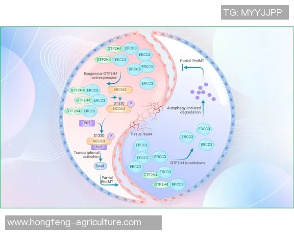 西安网球队在欧锦赛中的战术意识与团队配合全面解析 西安网球队在欧锦赛中的战术意识与团队配合全面解析