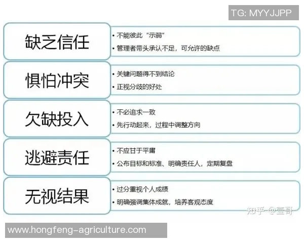 赛后分析：西安排球队与深圳排球队的团队协作表现及其影响