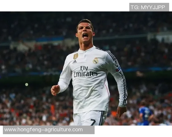 足球明星与乔丹的完美结合打造独特壁纸风格展现运动魅力与激情 足球明星与乔丹的完美结合打造独特壁纸风格展现运动魅力与激情