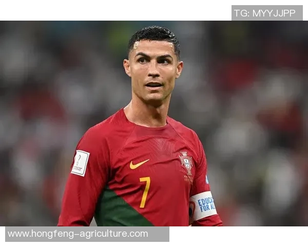 足球明星们的梦想国度:他们如何用脚步创造属于自己的国家 足球明星们的梦想国度:他们如何用脚步创造属于自己的国家