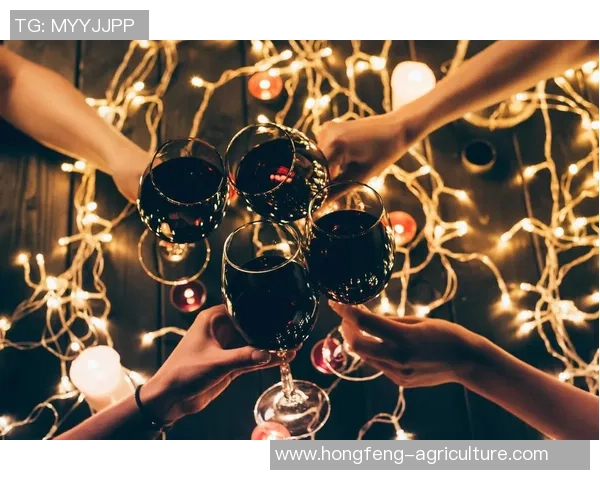 足球明星欢聚一堂碰杯庆祝瞬间精彩图片合集 足球明星欢聚一堂碰杯庆祝瞬间精彩图片合集