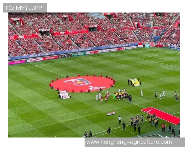 足球明星解说精彩瞬间图片集锦展现球场魅力与激情 足球明星解说精彩瞬间图片集锦展现球场魅力与激情