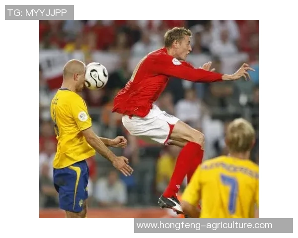 足球明星的综艺盛宴:球场之外的精彩生活与幽默瞬间 足球明星的综艺盛宴:球场之外的精彩生活与幽默瞬间