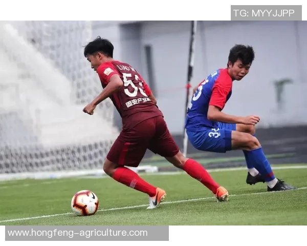 重庆排球队以85分领跑联合会杯积分榜展现强劲实力 重庆排球队以85分领跑联合会杯积分榜展现强劲实力