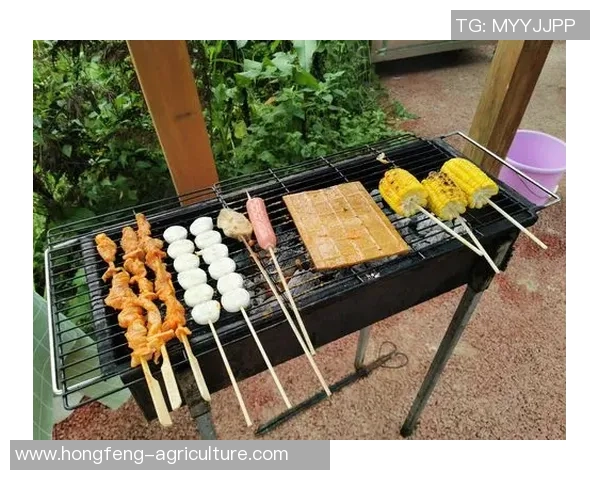 陈丽的篮球人生：从梦想起步到职业生涯的精彩旅程