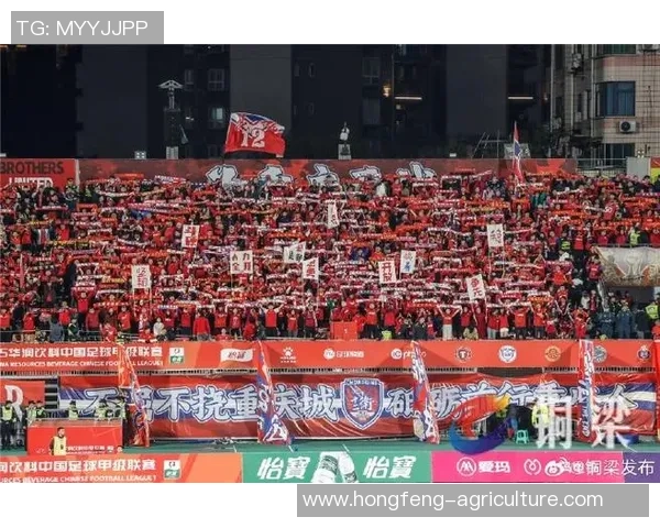 重庆足球队团队协作能力显著提升创新高引领联赛新风潮 重庆足球队团队协作能力显著提升创新高引领联赛新风潮