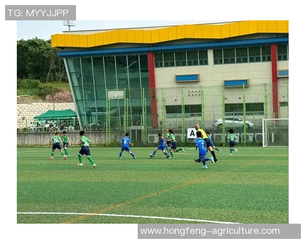 韩国足球明星现役阵容解析与未来发展展望 韩国足球明星现役阵容解析与未来发展展望