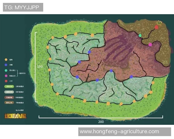 从零开始：乒乓球团队协作完全攻略