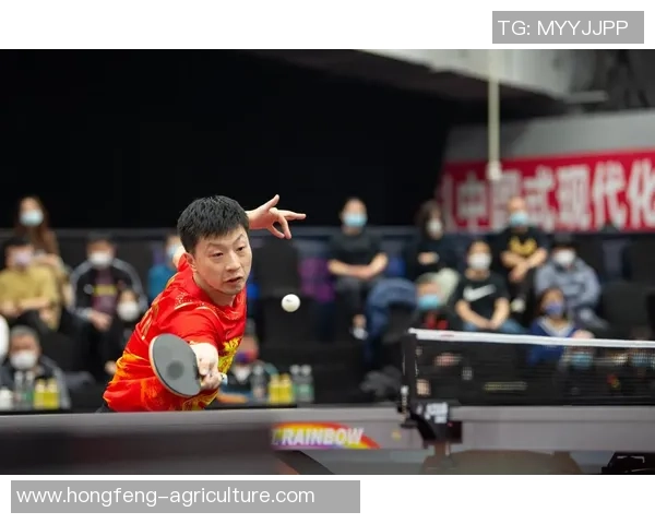 乒乓球巨献：探秘成都乒乓球队的灵活性