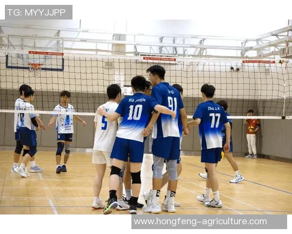 排球深度：解密重庆排球队的边路渗透