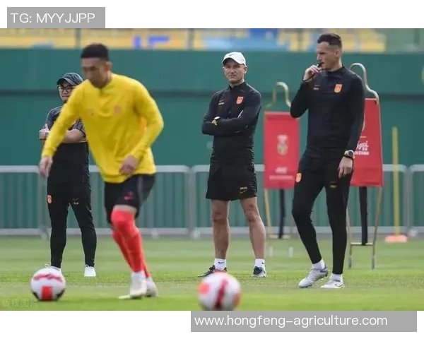 足球热议：成都足球队的实力争议