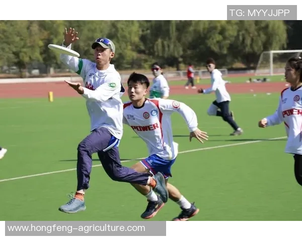 飞盘专题：聚焦武汉飞盘队的耐力