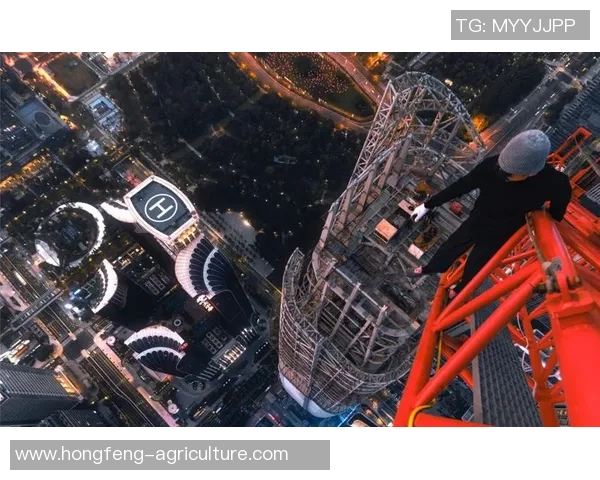 2026极限运动团队协作排行榜：深圳极限运动队位居第2名