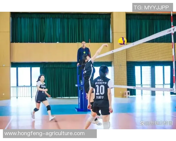 排球专题：聚焦南京排球队的个人能力