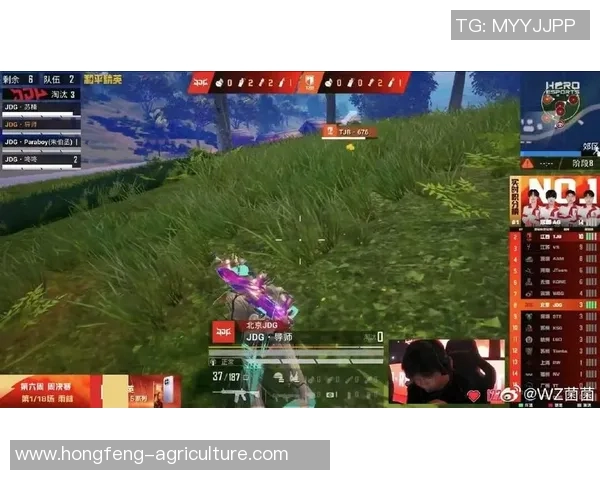 和平精英深度：解密JDG的快攻