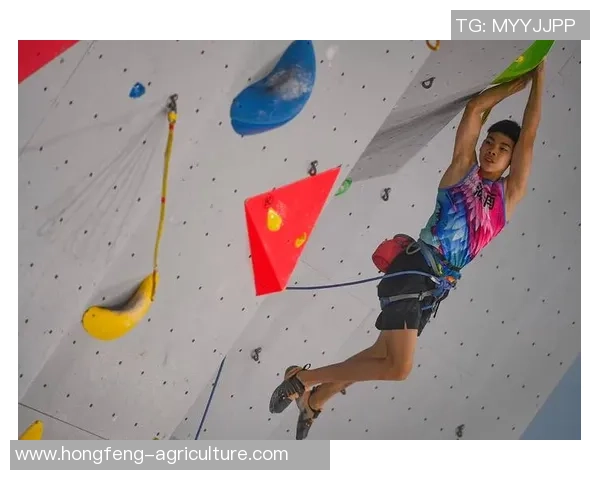 聚焦攀岩：北京攀岩队的战术话题