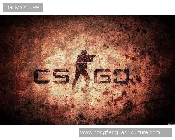 CS_GO专题：聚焦RNG的实力