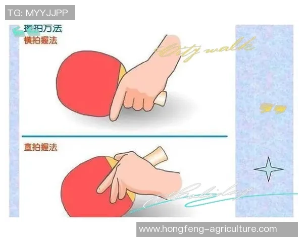 乒乓球新手攻略：比赛经验入门指南