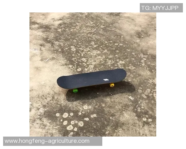 李丽独家:分享滑板心得