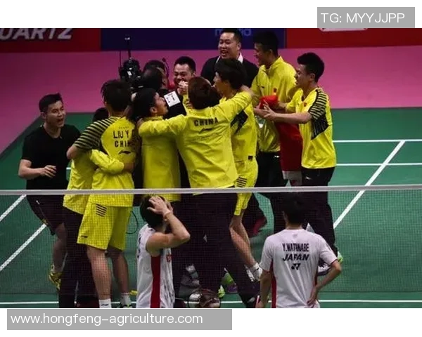 2026羽毛球灵活性排名：成都羽毛球队创新高