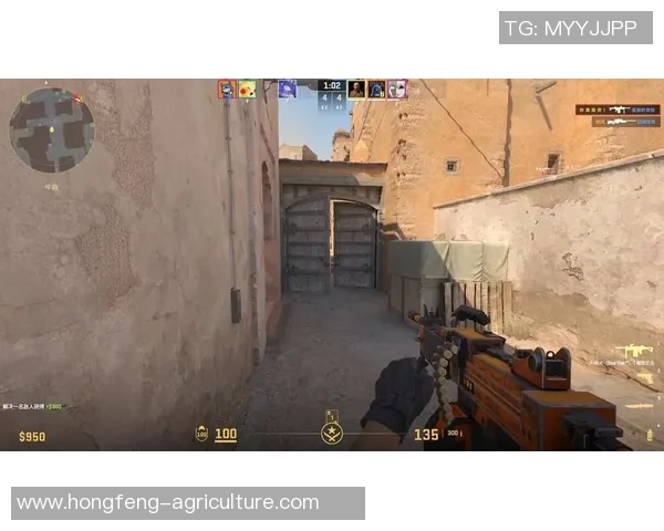 CS_GO深度：解密IG的反击