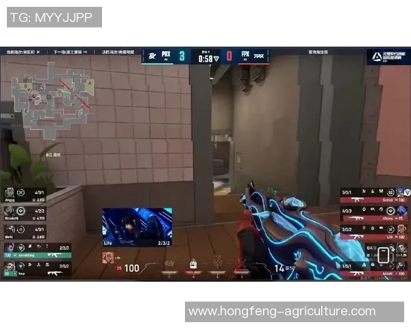 国际邀请赛点评：FPX的力量表现