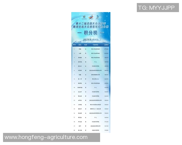 权威发布：滑板配合实力榜单