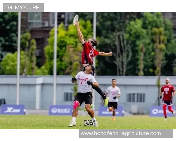 独家分析：杭州飞盘队的意识对比