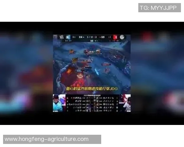 英雄联盟巨献：探秘JDG的技术