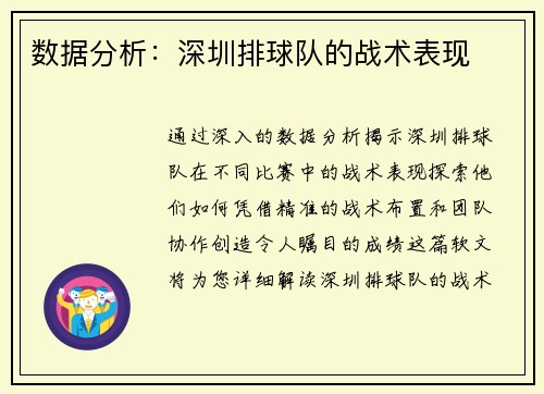 数据分析：深圳排球队的战术表现