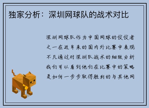 独家分析：深圳网球队的战术对比