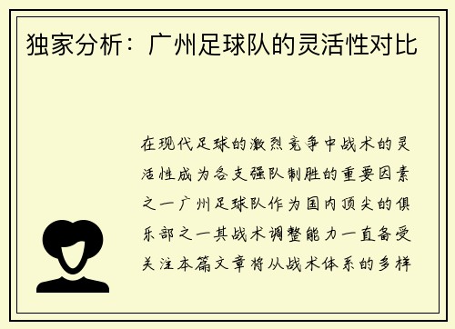 独家分析：广州足球队的灵活性对比