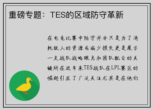重磅专题：TES的区域防守革新