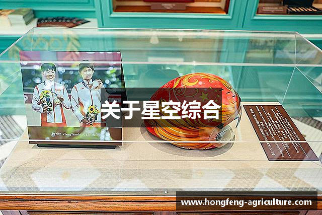 关于星空综合